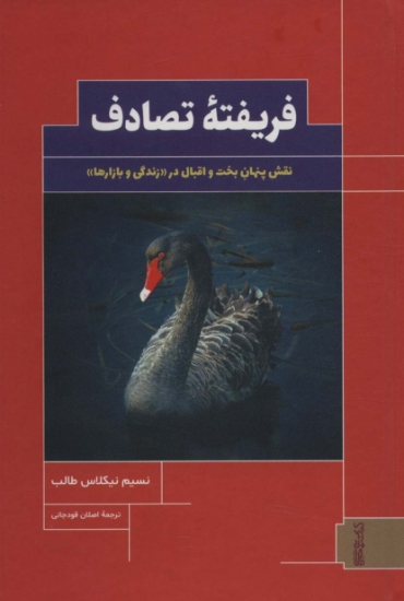 تصویر  فریفته تصادف (نقش پنهان بخت و اقبال در «زندگی و بازارها»)